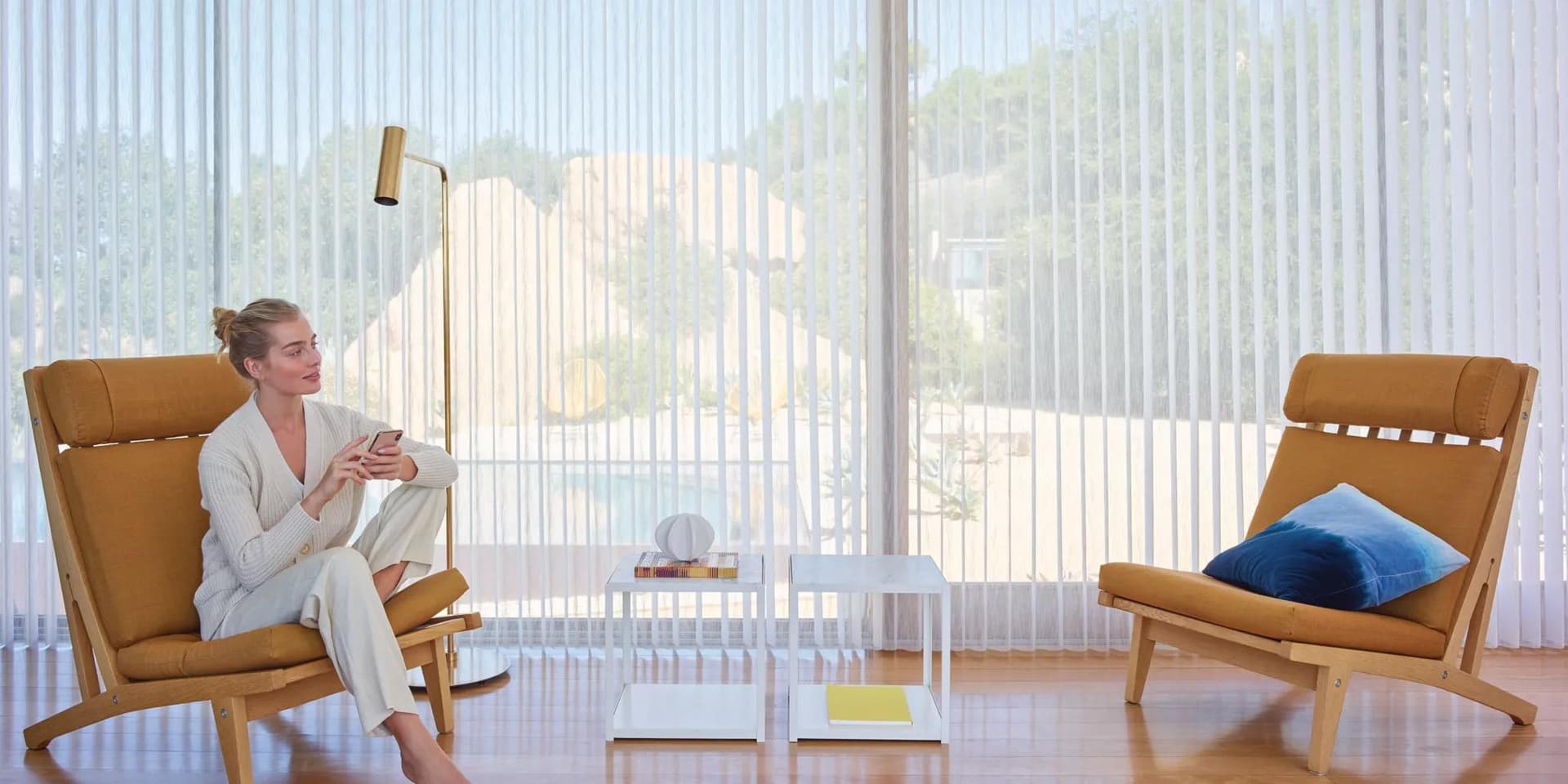 Picture Window Blinds and Shades